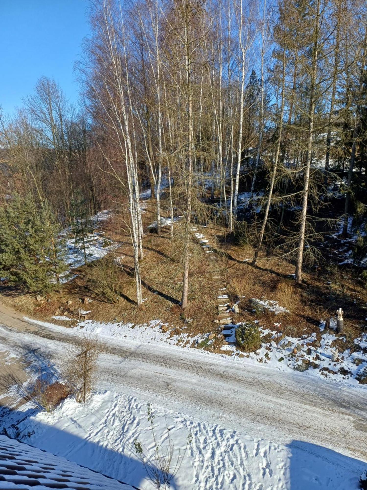 Agroturystyka Brzozowe Wzgorze Wlen Exterior foto